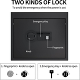 Reliancer Gun Safe for Pistols - Biometric Gun Safe