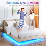 Reliancer Floating Bed Frame with LED Lights