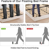 Reliancer Floating Bed Frame with LED Lights