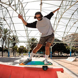 Balance Board Trainer with Handle